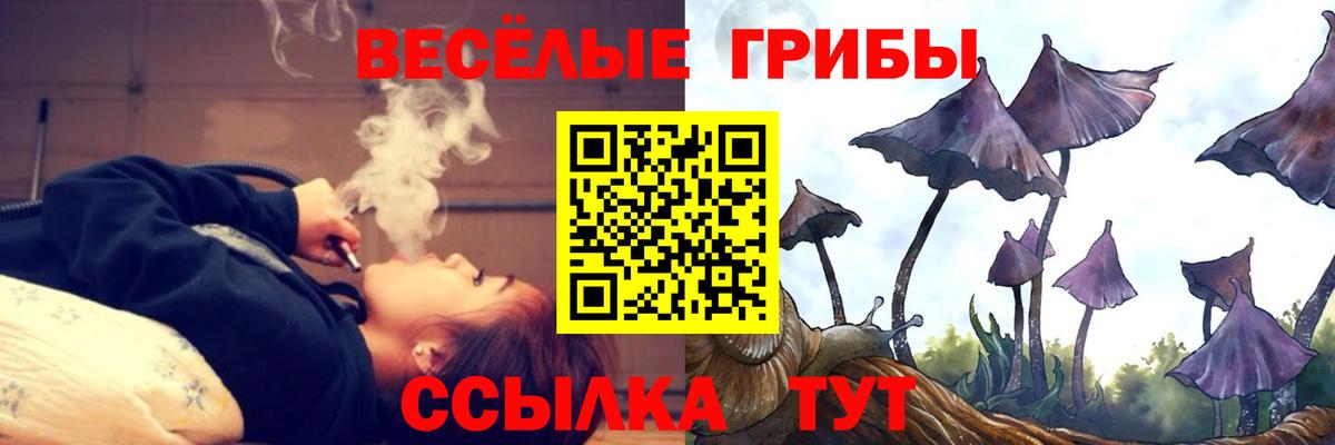 Костомукша  Псилоцибиновые грибы мухоморы  Вход с VPN 
